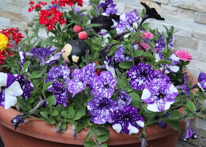 Gaestehaus Stefan Klotz Appartement *