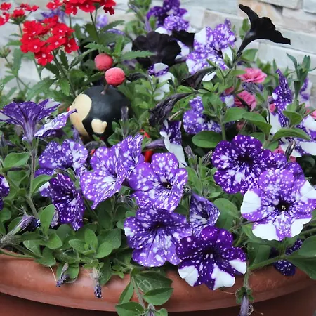 Gaestehaus Stefan Klotz Appartamento *